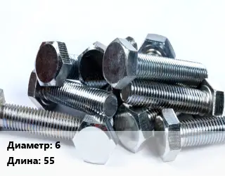 Болт 6х55